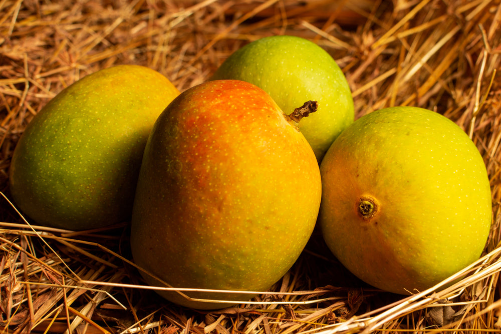 Devgad Alphonso Mangoes: The King of Mangoes - Prime Fresh Limited